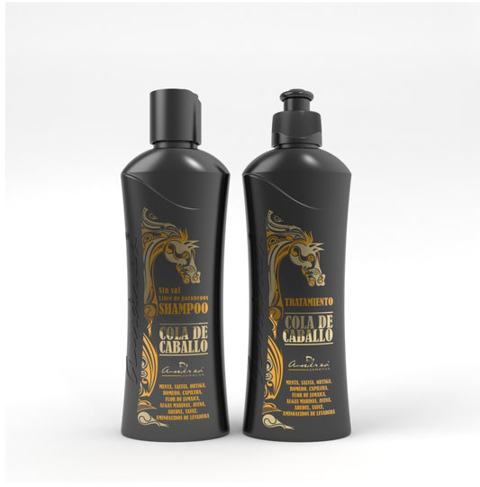 KIT COLA DE CABALLO (SHAMPOO + TRATAMIENTO)